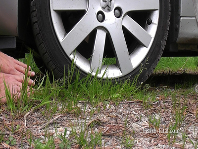 Car Crushing With One Hand And The Two Hands With Front And Rear Wheels