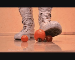 Tomatos Under Old Chucks